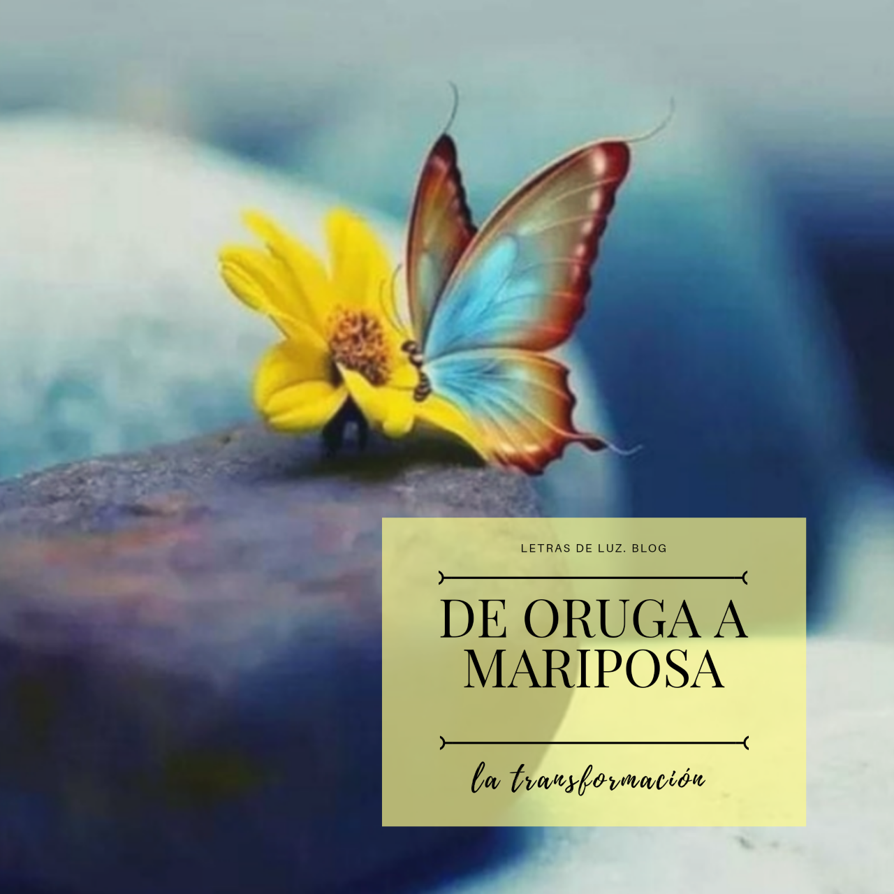 bonita mariposa azul con flor. Texto: de oruga a mariposa. La tranformación.