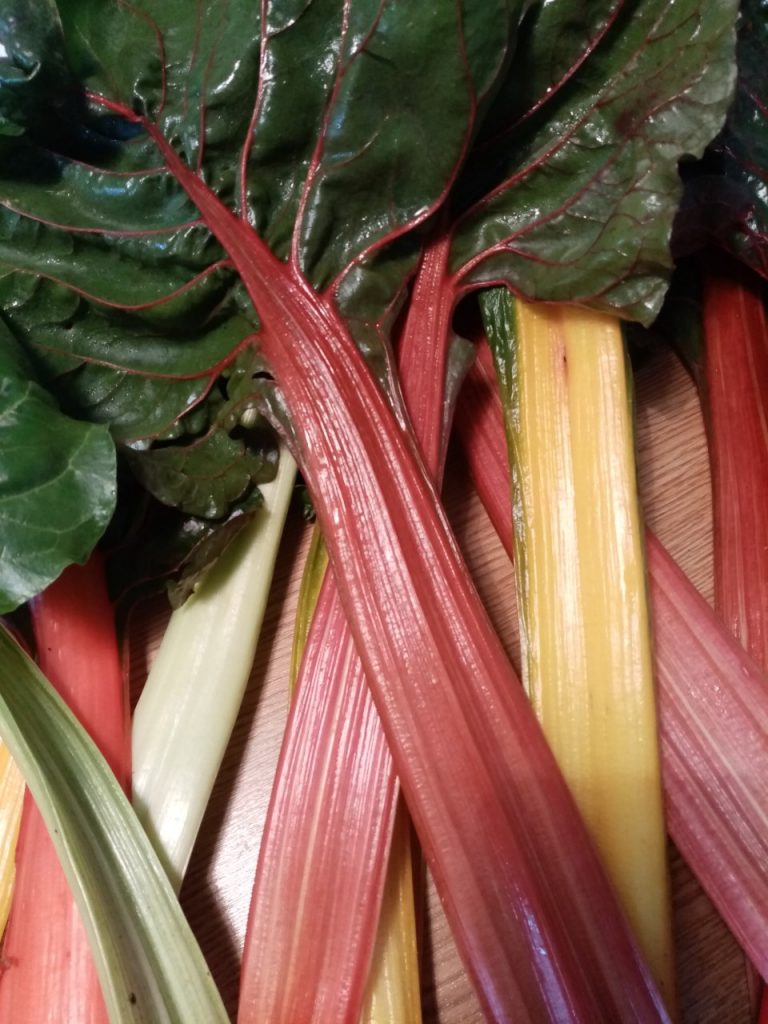 tallos de verduras de color rojo, amarillo, hojas verdes brillantes