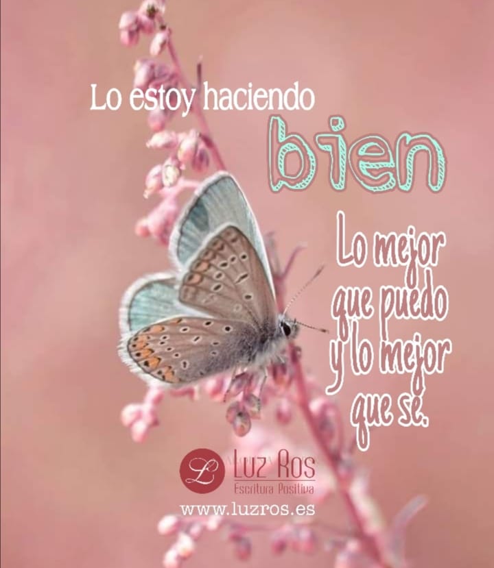 fondo rosado, mariposa y texto Lo estoy haciendo bien.