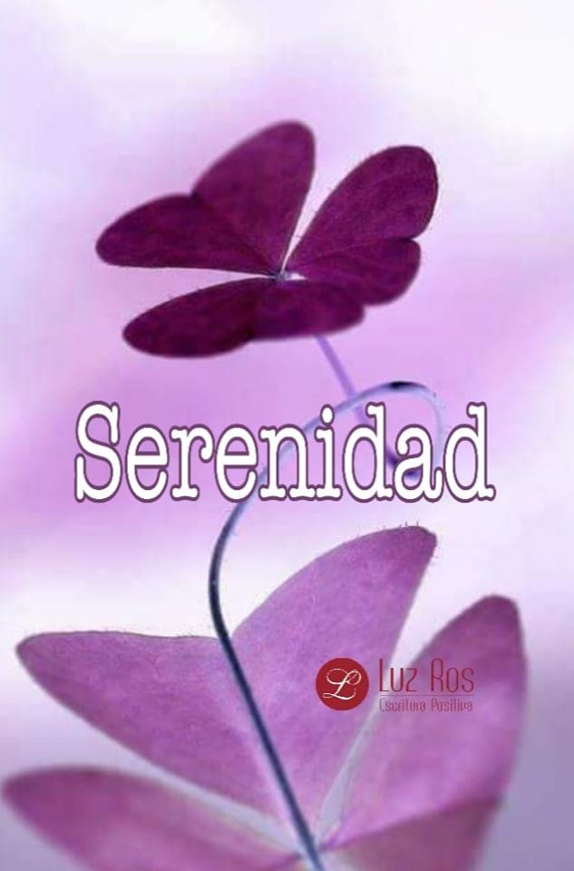 dibujo de flor tonos morados, texto Serenidad.